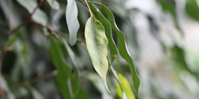 Auszeichnung für Klimaschutz