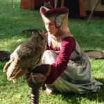 Greifvögel der Falknerei