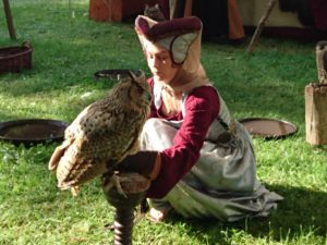 Greifvögel der Falknerei